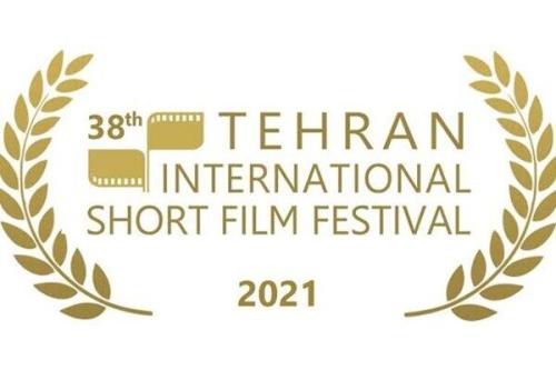رونق اعتبار سینمای ایران با تایید جشنواره فیلم کوتاه تهران توسط اسکار