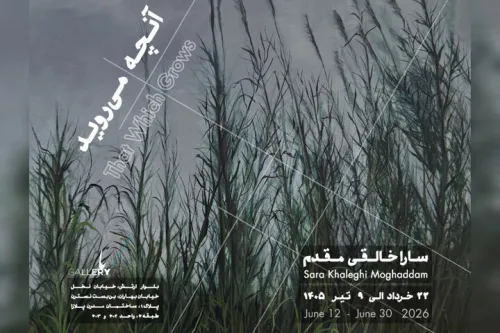 آن چه می روید به باگالری رسید