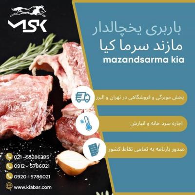 ماشین باربری یخچالی