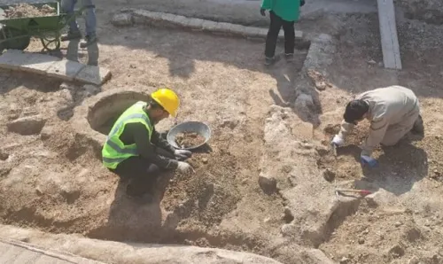 آخرین وضعیت جستجوهای دیرینه شناسی در خوزستان