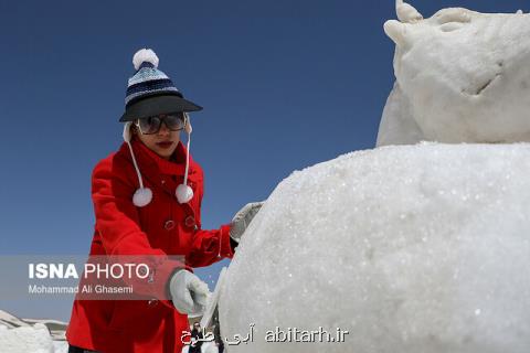 برگزیدگان جشنواره مجسمه های برفی و یخی مشخص شدند