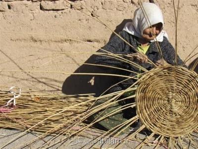 سبدبافی احیا می شود